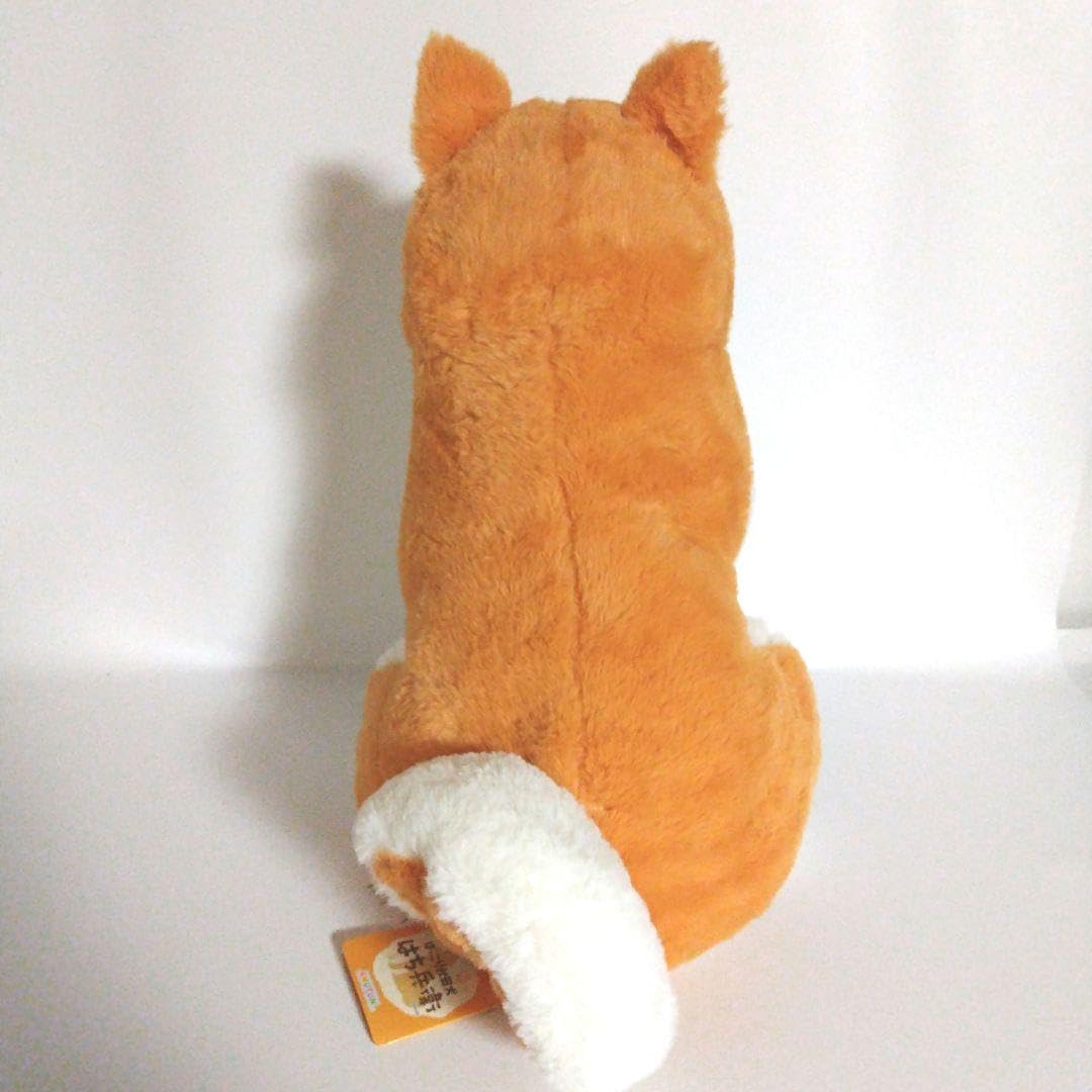 Amazon.co.jp: ほっこり秋田犬 はち兵衛 ウルトラBIGぬいぐるみ ぽか